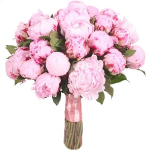 peony-bridal-bouquet-741431_1024x1024.jpg