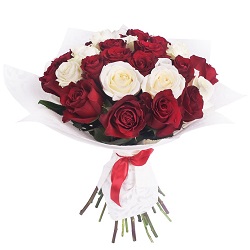rose-rosse-bianche.jpg